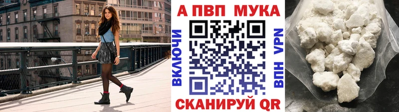 Альфа ПВП СК КРИС Магас