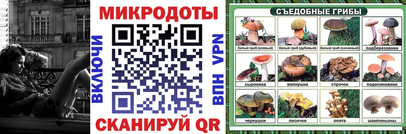 Галлюциногенные грибы мицелий  купить наркотики сайты  Магас 
